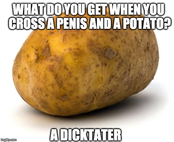bake this! | WHAT DO YOU GET WHEN YOU CROSS A PENIS AND A POTATO? A DICKTATER | image tagged in i am a potato,joke,pun | made w/ Imgflip meme maker