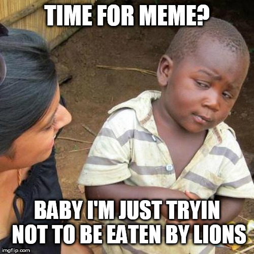 Third World Skeptical Kid Meme | TIME FOR MEME? BABY I'M JUST TRYIN NOT TO BE EATEN BY LIONS | image tagged in memes,third world skeptical kid | made w/ Imgflip meme maker