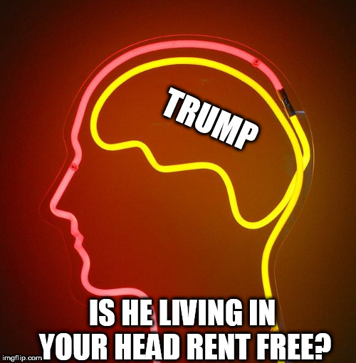 head | TRUMP; IS HE LIVING IN YOUR HEAD RENT FREE? | image tagged in head | made w/ Imgflip meme maker