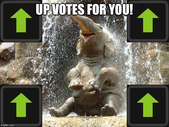 Upvote Elephant | UP VOTES FOR YOU! | image tagged in upvote elephant | made w/ Imgflip meme maker