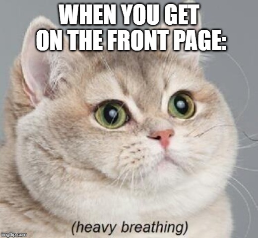 Heavy Breathing Cat | WHEN YOU GET ON THE FRONT PAGE: | image tagged in memes,heavy breathing cat | made w/ Imgflip meme maker