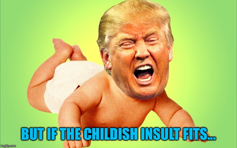 Baby Trump | BUT IF THE CHILDISH INSULT FITS... | image tagged in baby trump | made w/ Imgflip meme maker