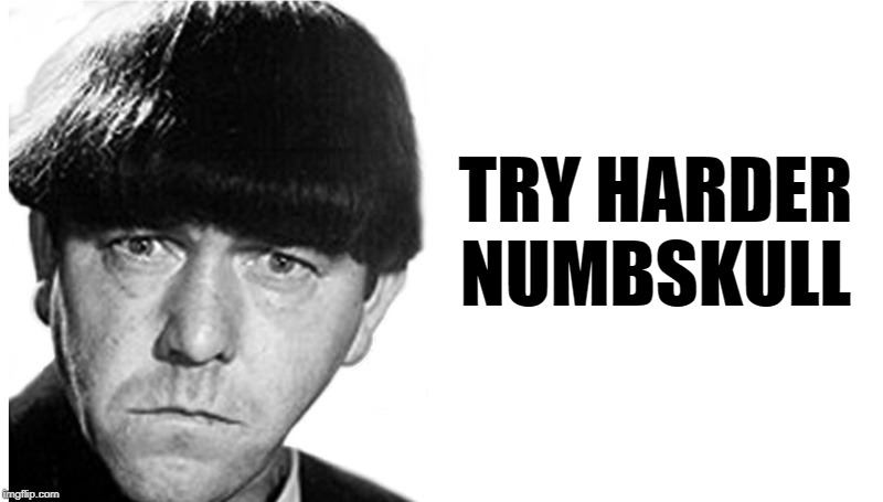 TRY HARDER NUMBSKULL | made w/ Imgflip meme maker