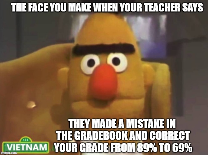 Flashback Bert | THE FACE YOU MAKE WHEN YOUR TEACHER SAYS; THEY MADE A MISTAKE IN THE GRADEBOOK AND CORRECT YOUR GRADE FROM 89% TO 69% | image tagged in bert,vietnam flashbacks,anime girls | made w/ Imgflip meme maker