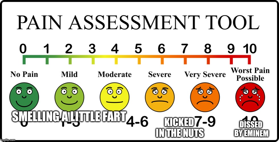 Pain scale | SMELLING A LITTLE FART; KICKED IN THE NUTS; DISSED BY EMINEM | image tagged in funny | made w/ Imgflip meme maker