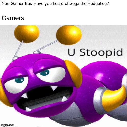 Sonniku Meme | Non-Gamer Boi: Have you heard of Sega the
Hedgehog? Gamers: | image tagged in u stoopid caterkiller | made w/ Imgflip meme maker