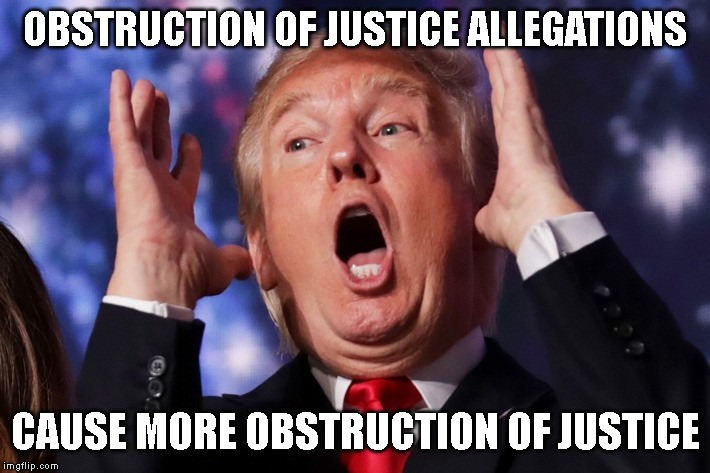 Trump Breaks the Law in Public View | OBSTRUCTION OF JUSTICE ALLEGATIONS; CAUSE MORE OBSTRUCTION OF JUSTICE | image tagged in insane trump,donald trump is an idiot,impeach trump,criminal,conman,traitor | made w/ Imgflip meme maker