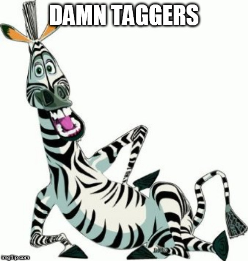 Zebra | DAMN TAGGERS | image tagged in zebra | made w/ Imgflip meme maker