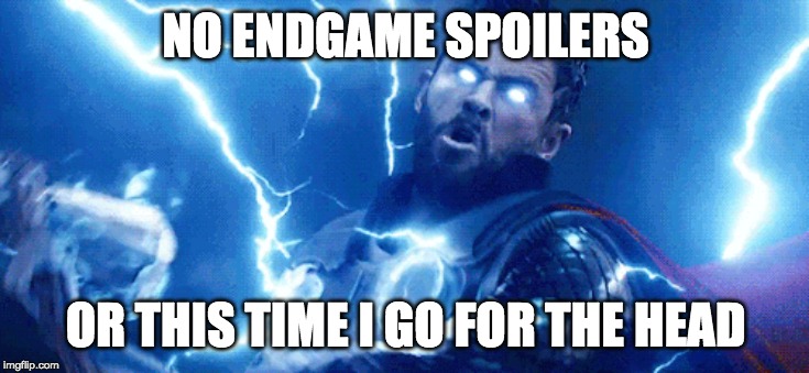 NO ENDGAME SPOILERS; OR THIS TIME I GO FOR THE HEAD | image tagged in avengers endgame | made w/ Imgflip meme maker