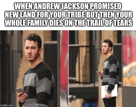 WHEN ANDREW JACKSON PROMISED NEW LAND FOR YOUR TRIBE BUT THEN YOUR WHOLE FAMILY DIES ON THE TRAIL OF TEARS | image tagged in andrew jackson,funny | made w/ Imgflip meme maker