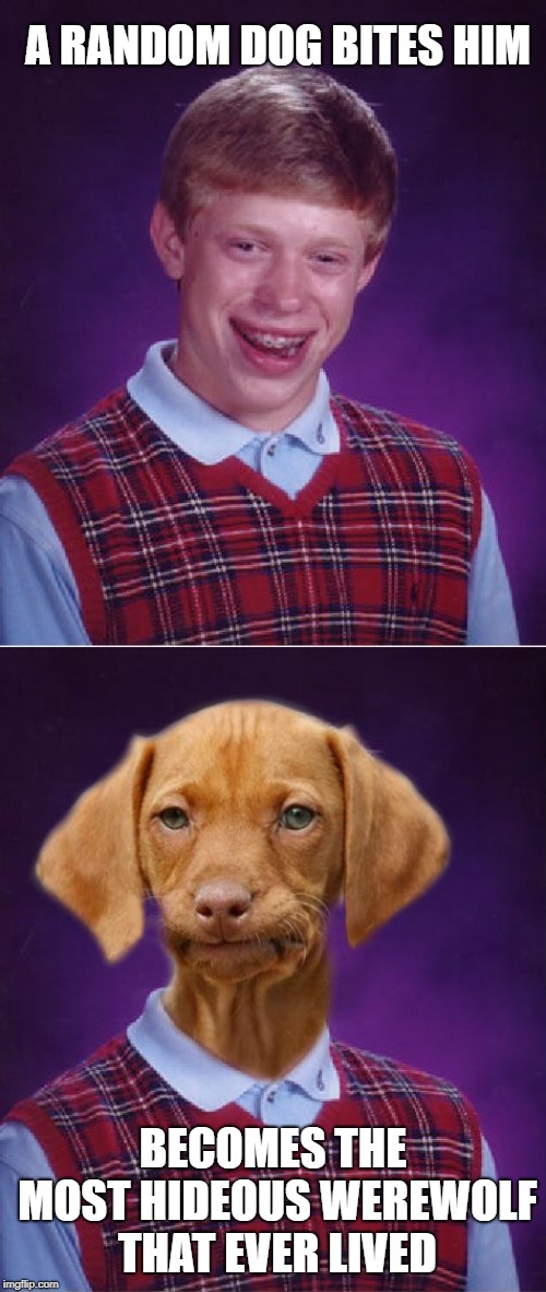 A RANDOM DOG BITES HIM; BECOMES THE MOST HIDEOUS WEREWOLF THAT EVER LIVED | image tagged in memes,bad luck brian | made w/ Imgflip meme maker