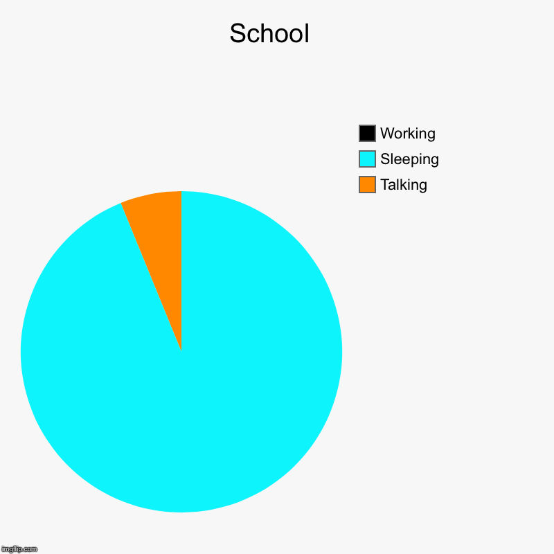 School  | Talking, Sleeping , Working | image tagged in charts,pie charts | made w/ Imgflip chart maker