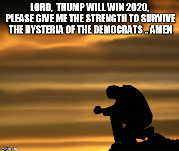 sunset man head down | LORD,  TRUMP WILL WIN 2020, PLEASE GIVE ME THE STRENGTH TO SURVIVE THE HYSTERIA OF THE DEMOCRATS .. AMEN | image tagged in sunset man head down | made w/ Imgflip meme maker