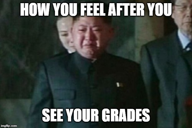 Kim Jong Un Sad Meme | HOW YOU FEEL AFTER YOU; SEE YOUR GRADES | image tagged in memes,kim jong un sad | made w/ Imgflip meme maker