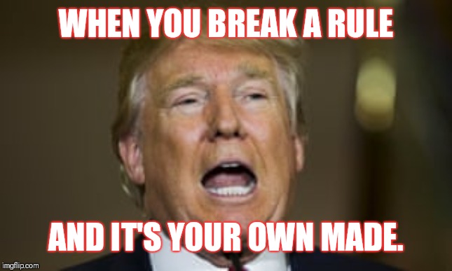 Donald Scream | WHEN YOU BREAK A RULE; AND IT'S YOUR OWN MADE. | image tagged in donald scream | made w/ Imgflip meme maker