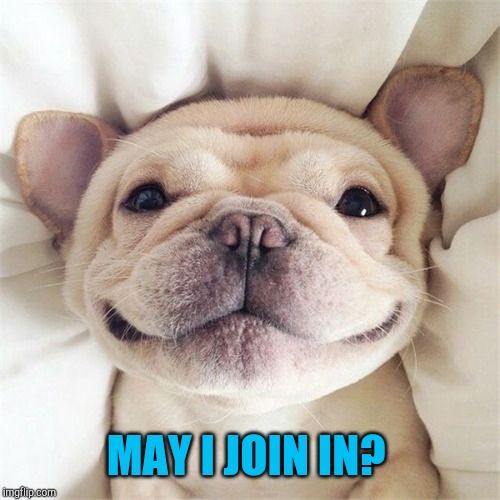 Smiling puppy | MAY I JOIN IN? | image tagged in smiling puppy | made w/ Imgflip meme maker