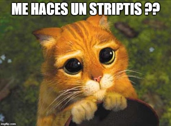 Gato con botas | ME HACES UN STRIPTIS ?? | image tagged in gato con botas | made w/ Imgflip meme maker