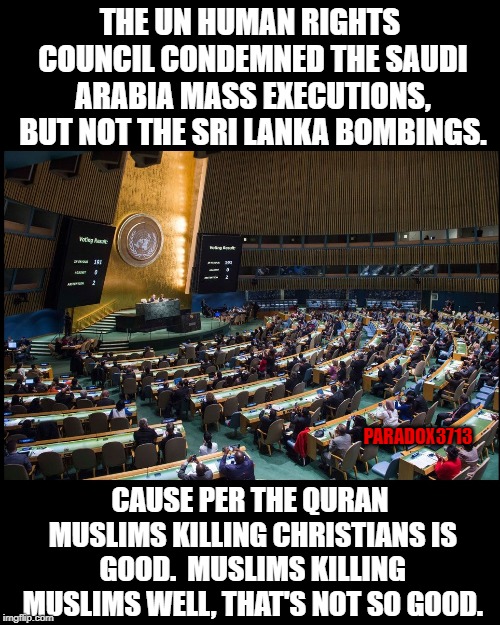 This is what happens when you surrender the UN to Islamist. | THE UN HUMAN RIGHTS COUNCIL CONDEMNED THE SAUDI ARABIA MASS EXECUTIONS, BUT NOT THE SRI LANKA BOMBINGS. PARADOX3713; CAUSE PER THE QURAN MUSLIMS KILLING CHRISTIANS IS GOOD.  MUSLIMS KILLING MUSLIMS WELL, THAT'S NOT SO GOOD. | image tagged in memes,islam,muslim,terrorism,hate crime,christians | made w/ Imgflip meme maker