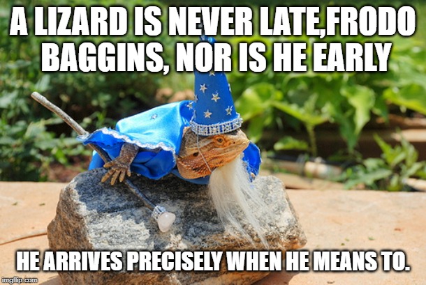 A LIZARD IS NEVER LATE,FRODO BAGGINS, NOR IS HE EARLY; HE ARRIVES PRECISELY WHEN HE MEANS TO. | made w/ Imgflip meme maker