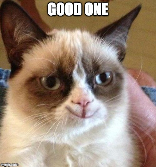 grumpy smile | GOOD ONE | image tagged in grumpy smile | made w/ Imgflip meme maker