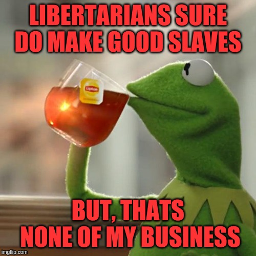 But That's None Of My Business Meme | LIBERTARIANS SURE DO MAKE GOOD SLAVES; BUT, THATS NONE OF MY BUSINESS | image tagged in memes,but thats none of my business,kermit the frog | made w/ Imgflip meme maker
