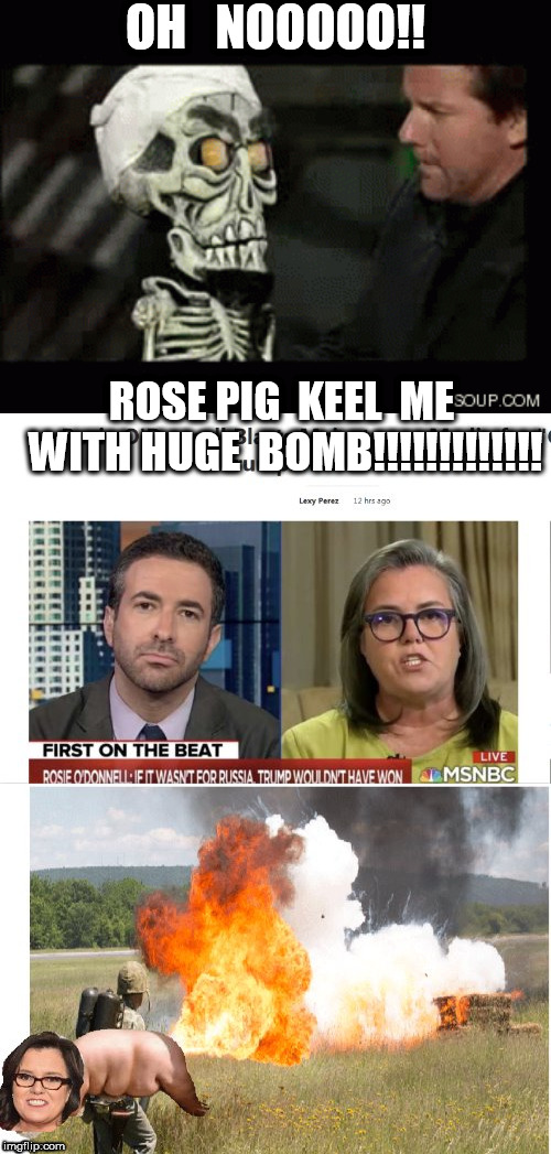 OH   NOOOOO!! ROSE PIG  KEEL  ME WITH HUGE  BOMB!!!!!!!!!!!!! | made w/ Imgflip meme maker