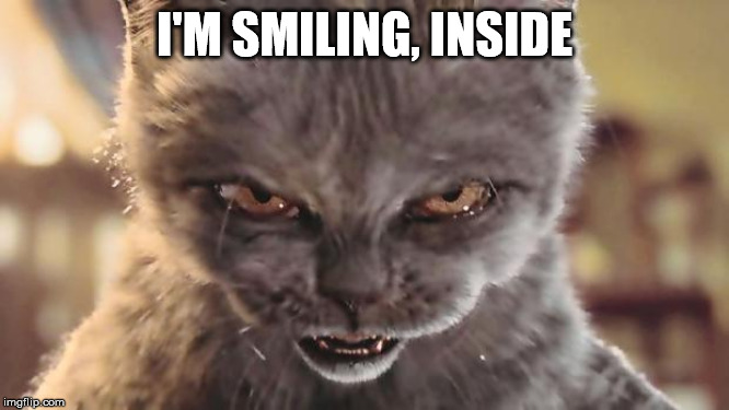 Evil Cat | I'M SMILING, INSIDE | image tagged in evil cat | made w/ Imgflip meme maker