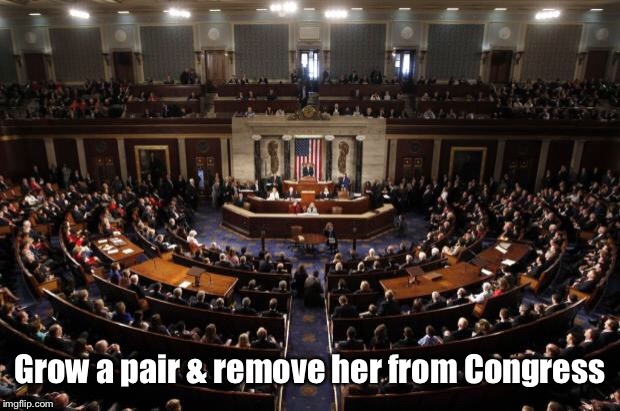 congress | Grow a pair & remove her from Congress | image tagged in congress | made w/ Imgflip meme maker