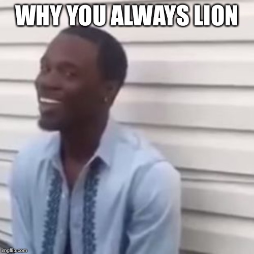 Why you always lying | WHY YOU ALWAYS LION | image tagged in why you always lying | made w/ Imgflip meme maker