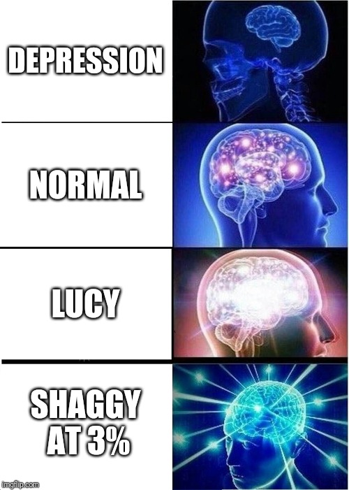 Expanding Brain | DEPRESSION; NORMAL; LUCY; SHAGGY AT 3% | image tagged in memes,expanding brain | made w/ Imgflip meme maker