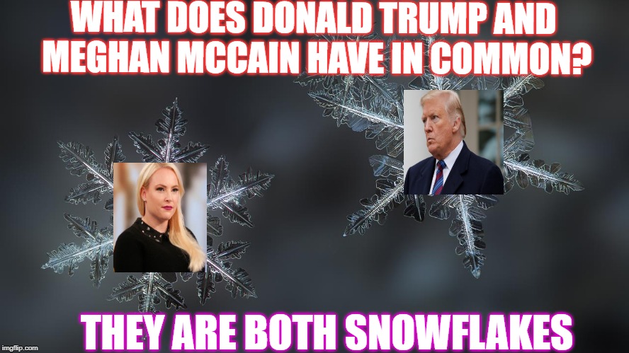 This  meme shows examples  of snowflakes | WHAT DOES DONALD TRUMP AND MEGHAN MCCAIN HAVE IN COMMON? THEY ARE BOTH SNOWFLAKES | image tagged in trump,meghan mccain,snowflakes | made w/ Imgflip meme maker