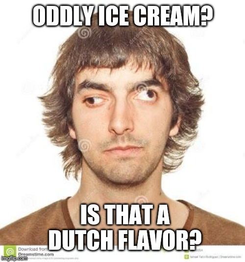 Cross eyed | ODDLY ICE CREAM? IS THAT A DUTCH FLAVOR? | image tagged in cross eyed | made w/ Imgflip meme maker