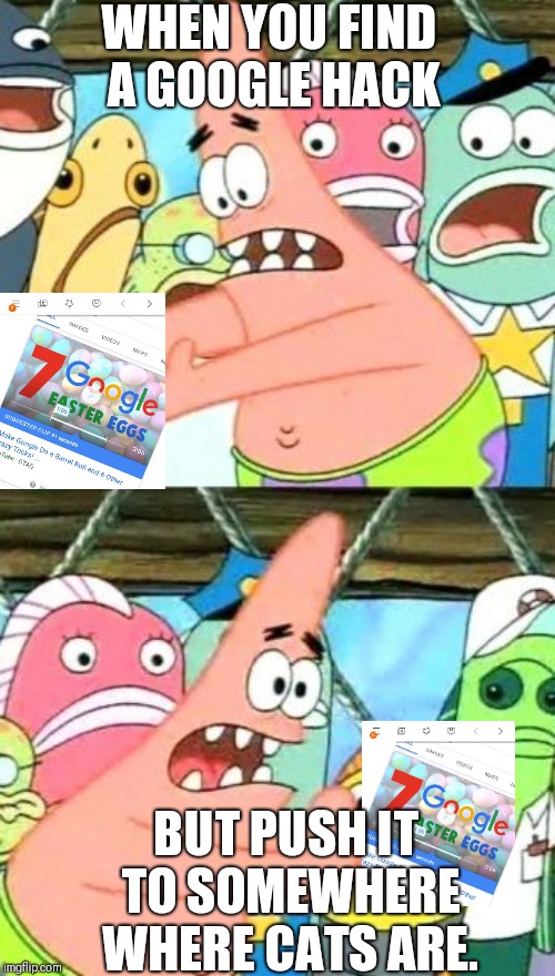 Put It Somewhere Else Patrick Meme | WHEN YOU FIND A GOOGLE HACK; BUT PUSH IT TO SOMEWHERE WHERE CATS ARE. | image tagged in memes,put it somewhere else patrick | made w/ Imgflip meme maker