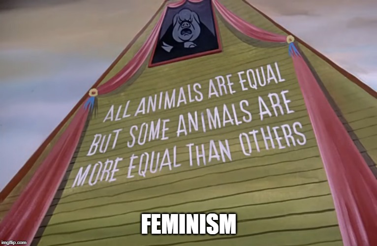 FEMINISM | image tagged in memes,funny memes,feminism | made w/ Imgflip meme maker