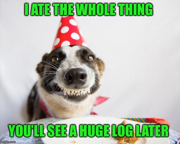 birthday dog | I ATE THE WHOLE THING YOU’LL SEE A HUGE LOG LATER | image tagged in birthday dog | made w/ Imgflip meme maker