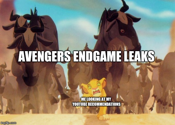 Lion King Stampede | AVENGERS ENDGAME LEAKS; ME LOOKING AT MY YOUTUBE RECOMMENDATIONS | image tagged in lion king stampede | made w/ Imgflip meme maker