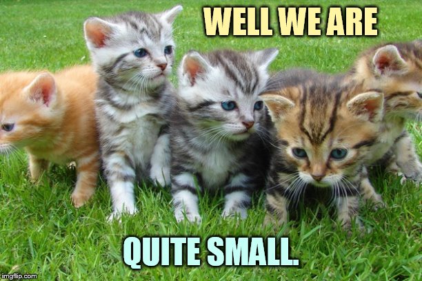 WELL WE ARE QUITE SMALL. | made w/ Imgflip meme maker