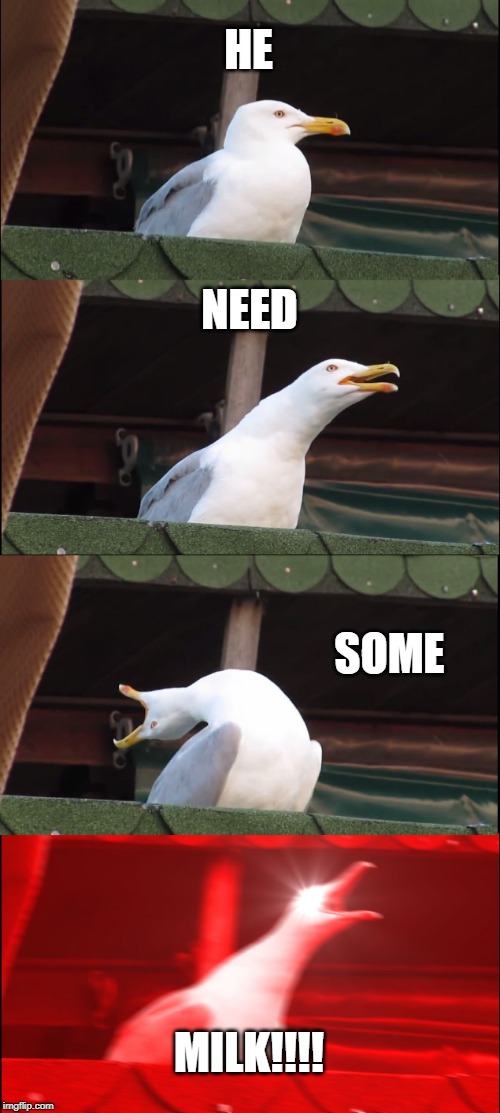 Inhaling Seagull | HE; NEED; SOME; MILK!!!! | image tagged in memes,inhaling seagull | made w/ Imgflip meme maker