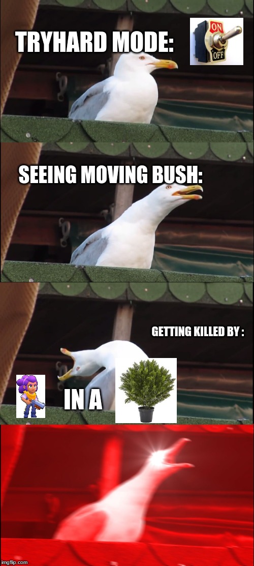 Inhaling Seagull | TRYHARD MODE:; SEEING MOVING BUSH:; GETTING KILLED BY :; IN A | image tagged in memes,inhaling seagull | made w/ Imgflip meme maker