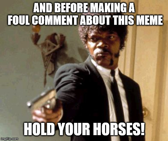 Say That Again I Dare You Meme | AND BEFORE MAKING A FOUL COMMENT ABOUT THIS MEME HOLD YOUR HORSES! | image tagged in memes,say that again i dare you | made w/ Imgflip meme maker