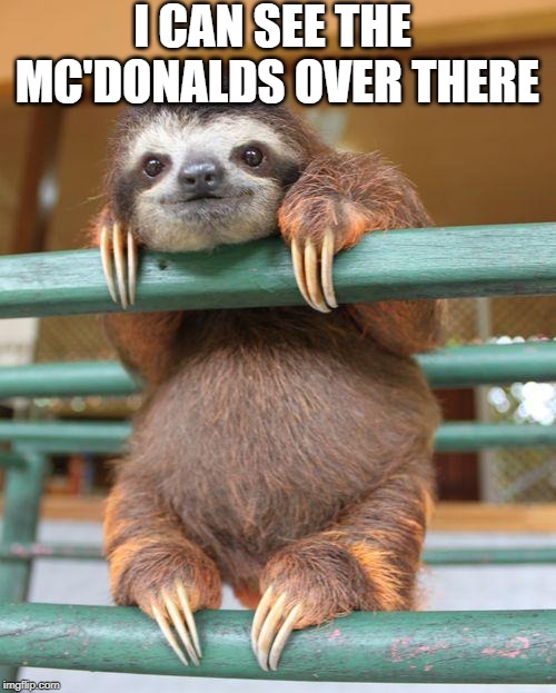 Birthday Sloth |  I CAN SEE THE MC'DONALDS OVER THERE | image tagged in birthday sloth | made w/ Imgflip meme maker