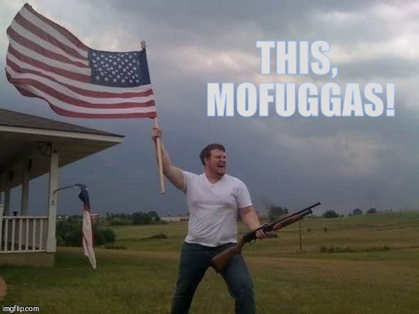 American flag shotgun guy | THIS, MOFUGGAS! | image tagged in american flag shotgun guy | made w/ Imgflip meme maker