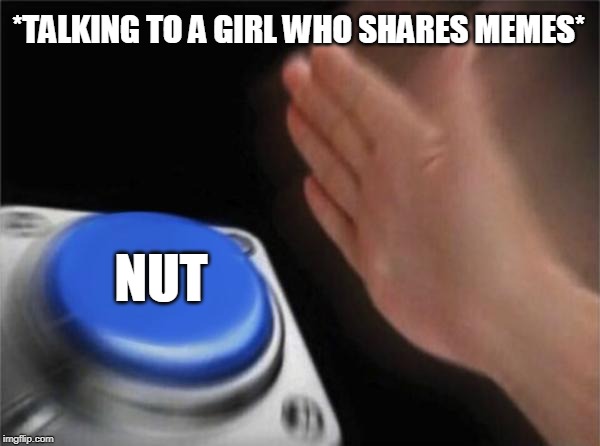 Blank Nut Button Meme | *TALKING TO A GIRL WHO SHARES MEMES*; NUT | image tagged in memes,blank nut button | made w/ Imgflip meme maker