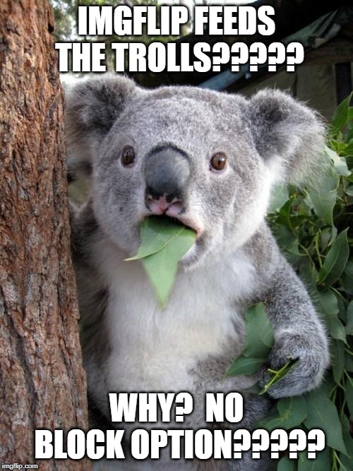 Surprised Koala | IMGFLIP FEEDS THE TROLLS????? WHY?  NO BLOCK OPTION????? | image tagged in memes,surprised koala | made w/ Imgflip meme maker