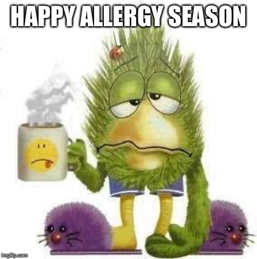 SICK & TIRED | HAPPY ALLERGY SEASON | image tagged in sick  tired | made w/ Imgflip meme maker