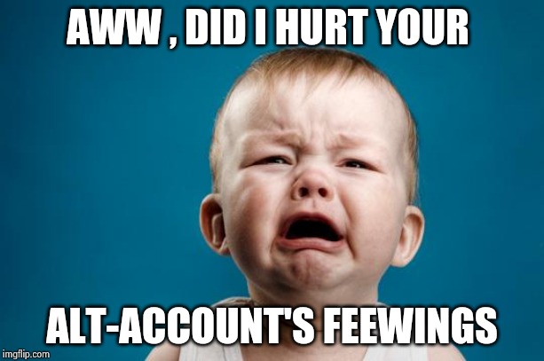 BABY CRYING | AWW , DID I HURT YOUR ALT-ACCOUNT'S FEEWINGS | image tagged in baby crying | made w/ Imgflip meme maker