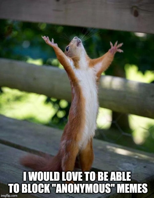 Happy Squirrel | I WOULD LOVE TO BE ABLE TO BLOCK "ANONYMOUS" MEMES | image tagged in happy squirrel | made w/ Imgflip meme maker