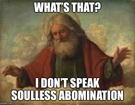 god | WHAT’S THAT? I DON’T SPEAK SOULLESS ABOMINATION | image tagged in god | made w/ Imgflip meme maker