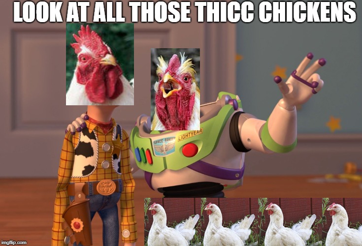 X, X Everywhere Meme | LOOK AT ALL THOSE THICC CHICKENS | image tagged in memes,x x everywhere | made w/ Imgflip meme maker