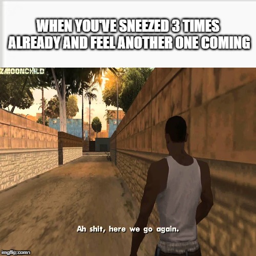 ah shit here we go agian | WHEN YOU'VE SNEEZED 3 TIMES ALREADY AND FEEL ANOTHER ONE COMING | image tagged in ah shit here we go agian | made w/ Imgflip meme maker